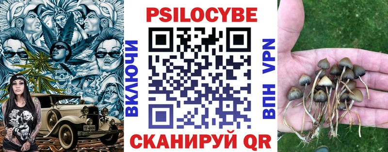 MEGA вход  Рузаевка  Галлюциногенные грибы MAGIC MUSHROOMS  как найти  